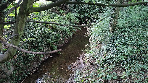 Hell Brook